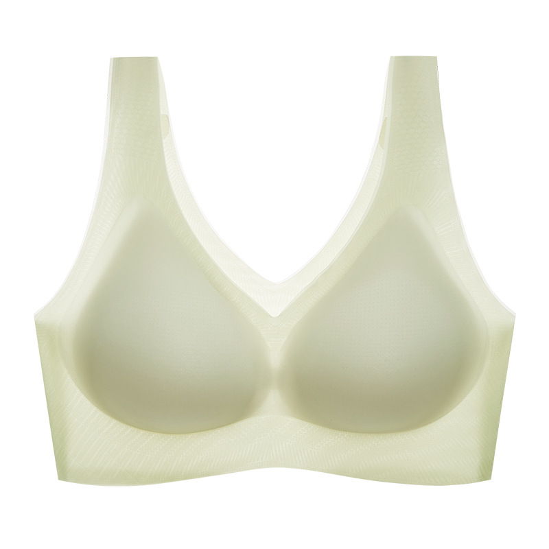 콩 새싹 녹색 2178