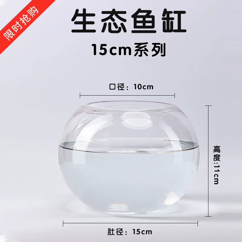 Transparent glass small aquarium for office