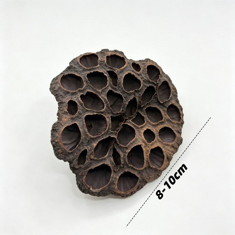 Juguetes y Escondite para Hámster de Madera Artesanal para Nido