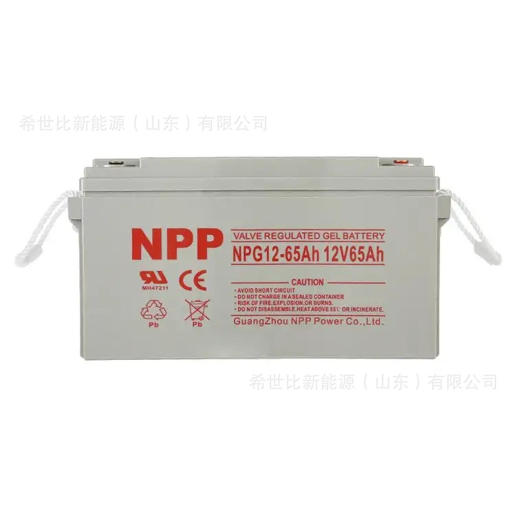 12V65AH1.webp.jpg