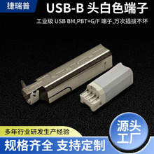 深圳源头工厂USB B公连接器端子白胶主体插头电子元件