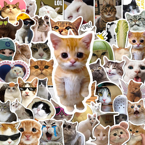 50 Cat Meme Stickers Cute Funny Absurd Cat Instagram Style Emoticon Gag Images Material Journal Notebook Sticker