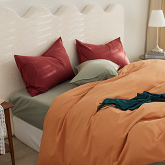 100-count long-staple cotton brushed four-piece set Autumn and winter thickened cotton brushed solid color contrasting sheets and fitted sheets set