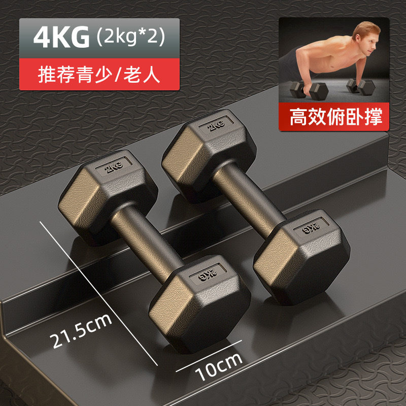 ダンベル男性フィットネス家庭用機器女性ケトルベル 10 キロペア青少年六角ダンベルセット寮の学生|undefined