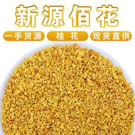 批发广西桂林桂花 散装新货桂花茶食用桂花 干花泡茶花茶工厂