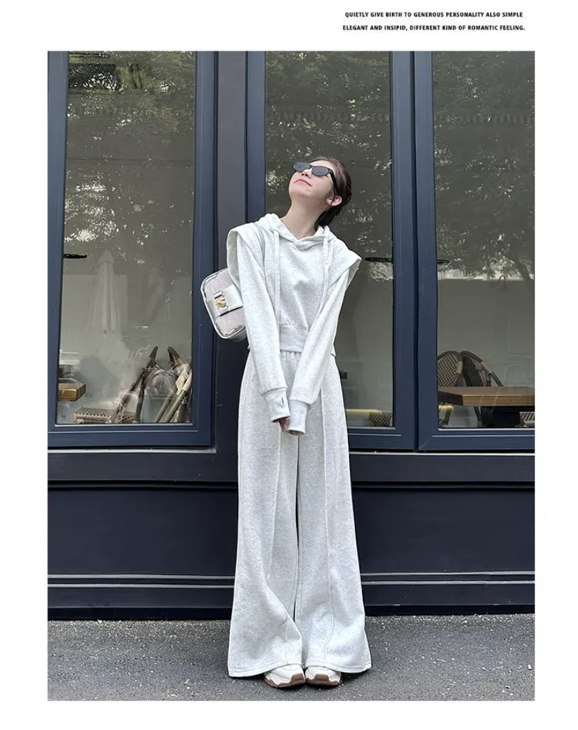 001 Herfststijl Sportkleding Dames, Losse pasvorm, Hoodie Sweatshirt, Modieuze Wijde Broek Tweedelige Set Voor Dames_voghion.com