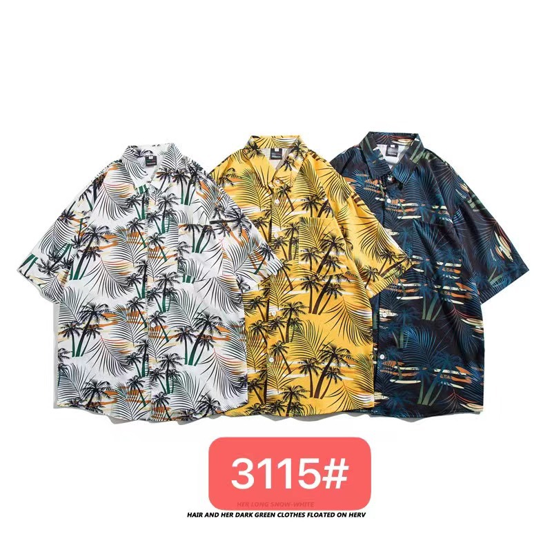 3115 왼쪽 화이트