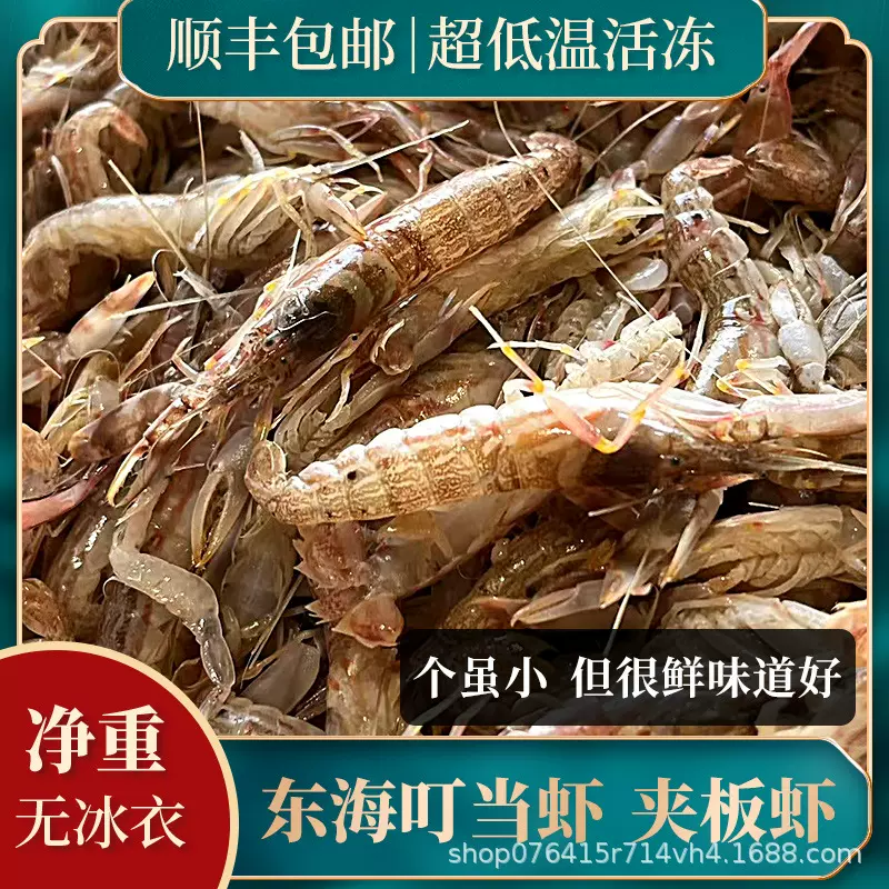 东海新鲜活冻鼓虾狗虾夹板虾叮当虾撒尿虾小虾嘎巴虾小海虾净重