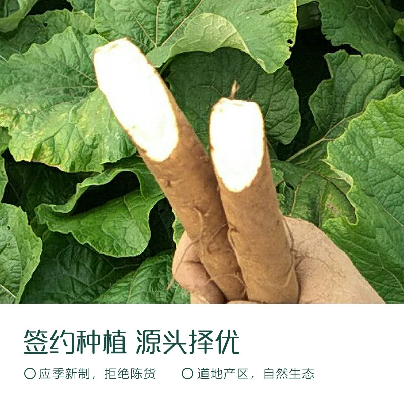 Cha Yuanzi лактей бурдок корень без серы новый поступление крупный бурдок замоченный в воде для чайного напитка съедобный лечебный травяной чай цветочный чай