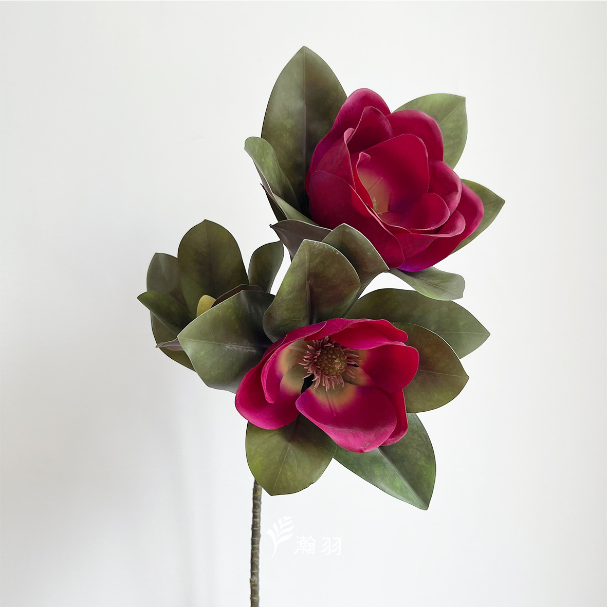 Gran rama de precio 3 cabezas sensación de mano Hangzhou flor de imitación magnolia vestido para el hogar accesorios de fotografía ramo de mesa de boda