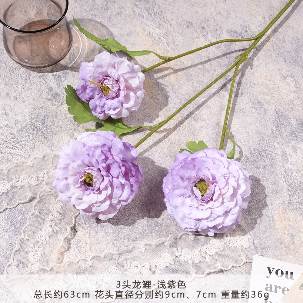 SHN-3 머리 용 잉어-연보라색