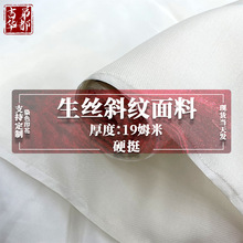 吉弟华都19姆米真丝生丝斜纹硬挺网纱 柯根纱 生丝绡面料批