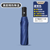 Automatic windproof umbrella for elementary school students, wholesale