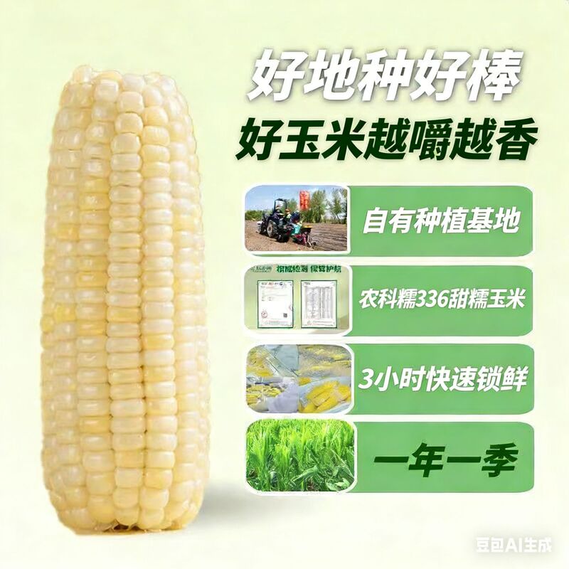 Nongke Nuomi 336 White Sweet Glutinous Corn, Northeast Sticky Corn Cobs, Vacuum-Packed Large Cobs, Sticky Corn for Breakfast Meal Replacement Nongke Nuomi 336 White Sweet Glutinous Corn, Northeast Sticky Corn Cobs, Vacuum-Packed Large Cobs, Sticky Corn for Breakfast Meal Replacement