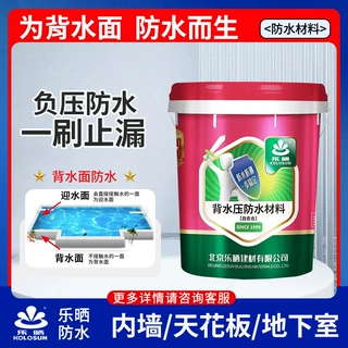 负压防水地下室防水防潮背水面防水涂料电梯井内墙反面防渗补漏