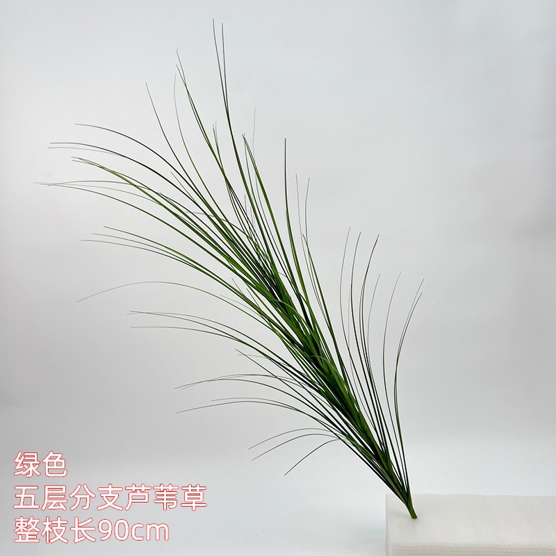 Cinco plantas de caña de Lu - verde