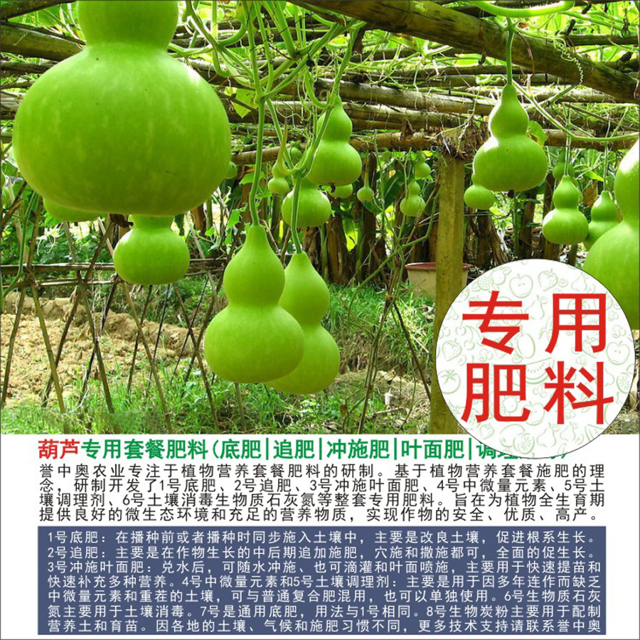 50�����аº�«ר���л��ʸ��Ϸʵ׷�׷��Ҷ��ʳ�ʩ��ˮ�ܷ�