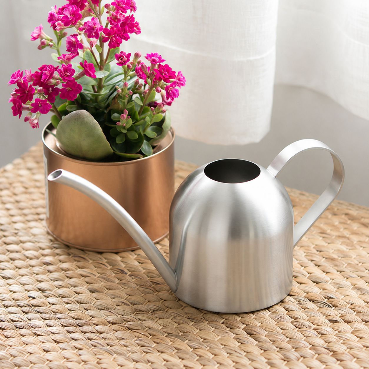 Acero inoxidable regadera jardinería olla pequeña regadera interior planta suculenta boca larga regadera 500ml