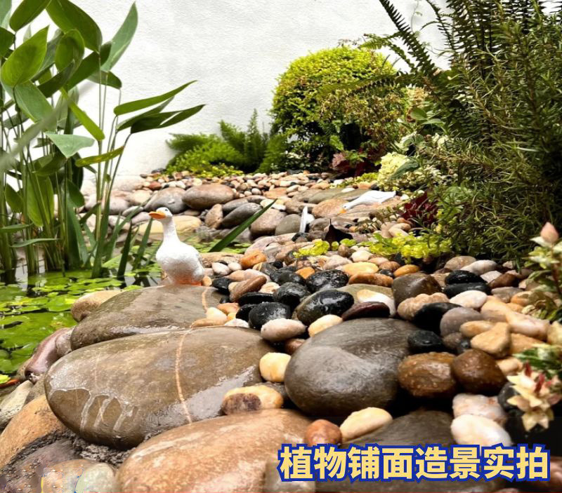 d48fcbba-48c9-468b-ae6a-45fefe84d567.jpe