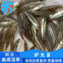 ��2023�|�~�硿��ˮ�����|�~�� �������|�~�� 3-4���׃��|1̖�~��