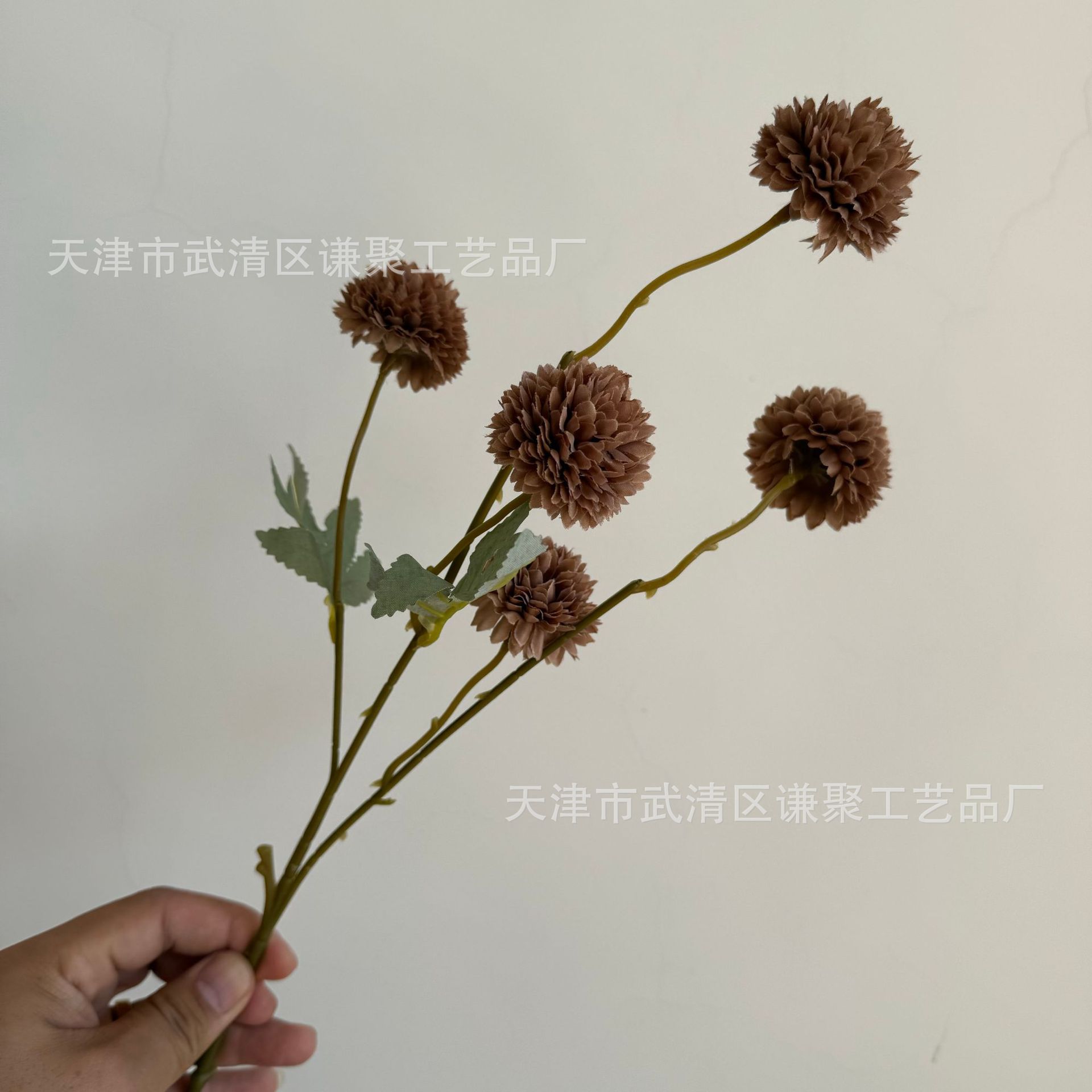 진한 커피색