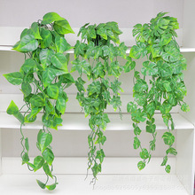 ���R�d����Ғ�ֲ�������_�ȼ��������~�����������҃������b�