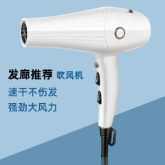 厳選火の鳳会社Phaeton高速ドライヤー速乾髪廊大出力恒温ヘアドライヤー