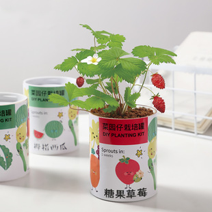 Ecoey Kidsren's Potted Plant Toys DIY Green Plants Primary School Students Kindergarten Gifts Vegetable Garden Cultivation Science and Education