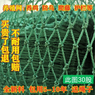 �����Bֳ�W�����W�B�u���w�W���B�r�u��픾W�������پW���x�W���l