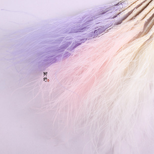 �W�t�������L���ë����Ů�ݸɻ��滨�bҾӔ[�O�Ĕz�������