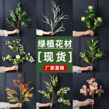 羳ƷGֲb@ֹ̼֦٘~컨ٻcɭϵ