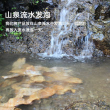 ��S�۹S�����r�S�z���ݰl��SƬ�����خa�r��̼���S�ǹS��Դ���S