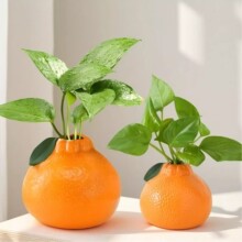 ����С��ƿ�[���͏d�廨ˮ���Bֲ��G�}�k���ҷ��g���������b�Ʒ