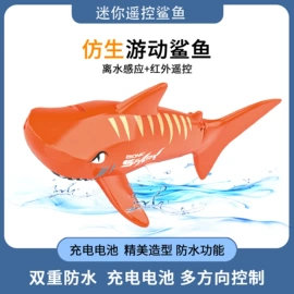 遥控飞机;遥控船