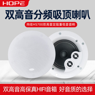 ����HS700�߱�����������컨������ͬ�S���l8�W����h�@����