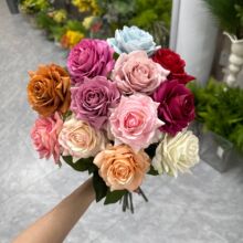 Ӣ��Сõ������ָб�����^�����z �Ƶ�Ҿӻ�Y���� ���Sֱ�N