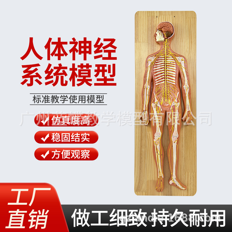 ������ϵͳ����ģ�� ����������ϵͳģ�� �� ���� ��Χ����