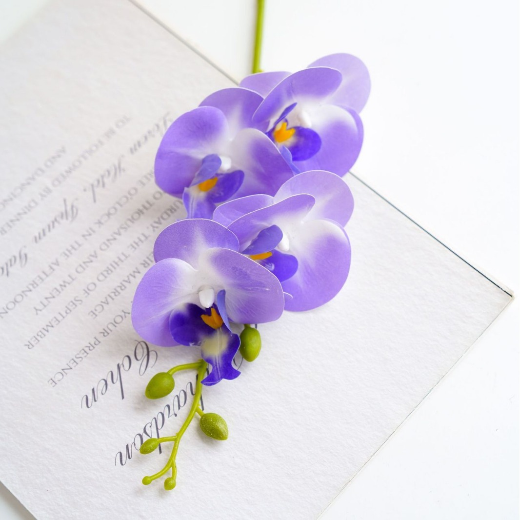 보라색-흰색 코어