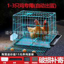加密小鸡笼滚蛋鸡笼普通鸡笼子铁丝笼