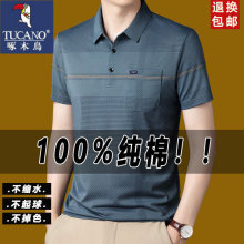 ��ľ�B͸�����t����ʿ�����e������ְַ��Ipolo��