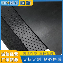 人工湖水产养殖用防渗膜养虾氧化塘hdpe土工膜高密度聚乙烯生态