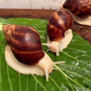 �������΁ţ���w�W���ƌW����^�����������^�p���nС΁ţ