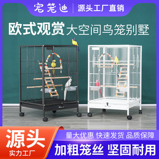�S��ֱ�����N�����B�\ ����\ �๦��Ⱥ�B�\ �߼��B�e�����l
