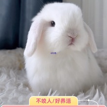 �������ӻ��ͯ����٪�����L����С���۶��öY���Lë����û��w