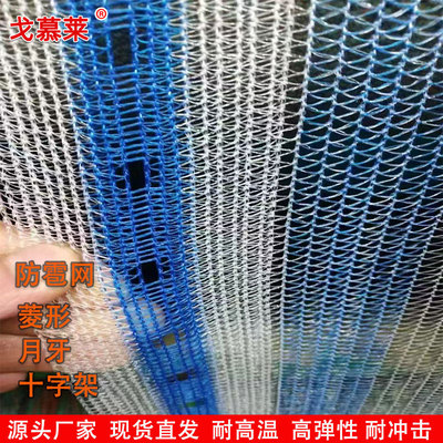 抗氧化防冰雹網魚塘圍欄 農田花圃防鳥網 全新料果園防雹尼龍網