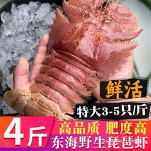 �����r�r���ش����r���X���r�F�����r�r�Þ|���r���r���ˮ�a���r