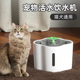 防干烧宠物自动饮水机猫狗喝水喂水器电动循环过滤静音猫咪饮水机