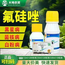 ̨���d�r���Ƿ�����󶹾��˲������ǲ��׷۲�С�ಡ�rș������