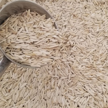 新货新疆特产阿克苏尖下巴马牙白瓜子饱满牙签葵花籽原味白皮瓜子