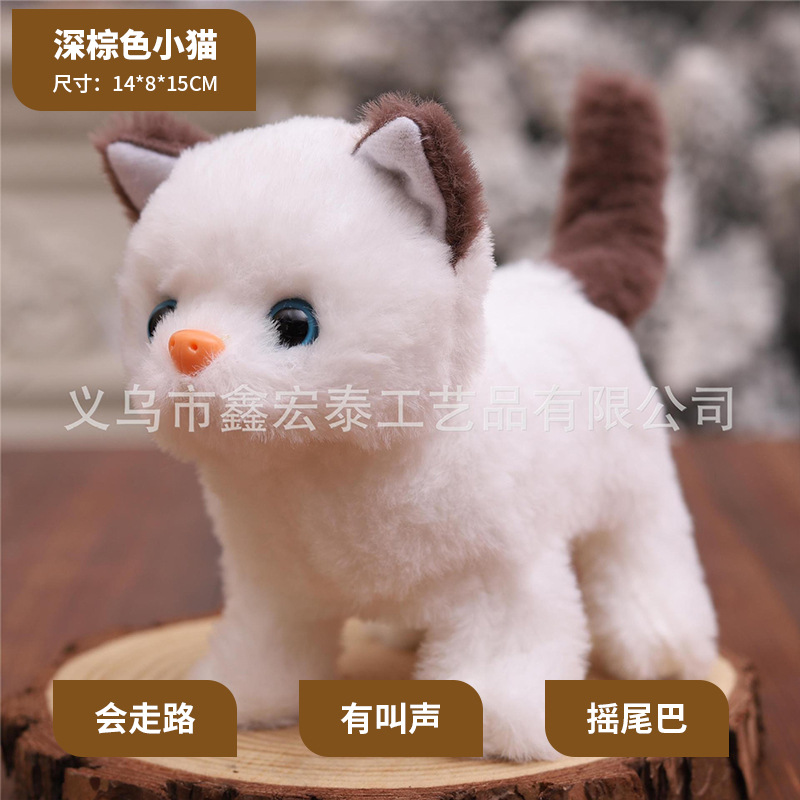 El gatito marrón oscuro-2